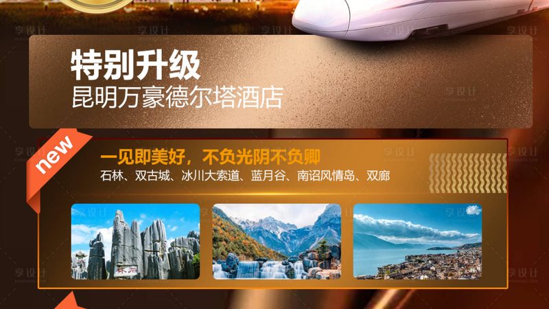 目前，旅游保险主要分为以下几类：